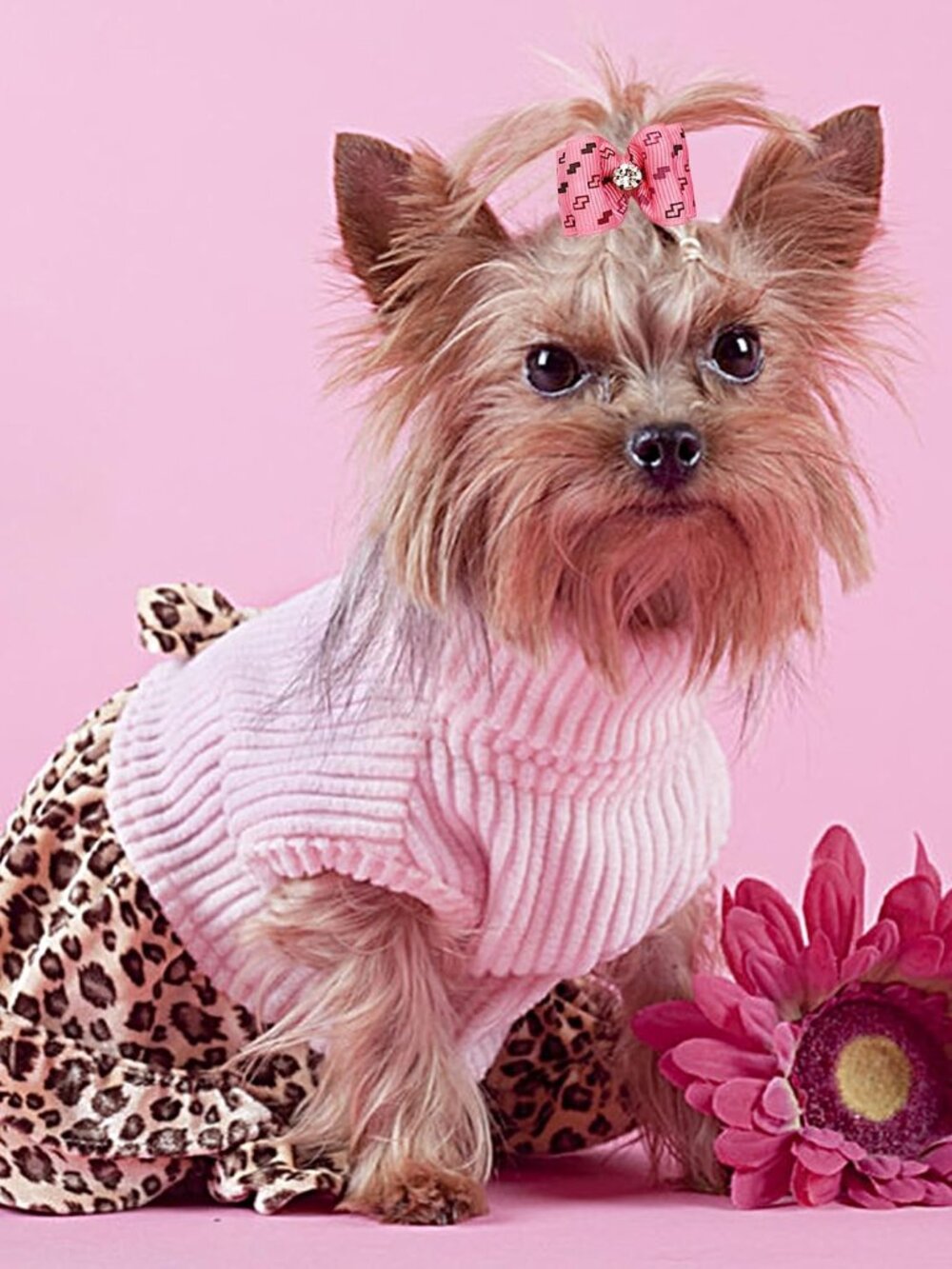Mixed Styles Pet Cat Puppy Topknot Small Dog Hair Bows with Rubber Bands Groomin - Picture 7 of 8